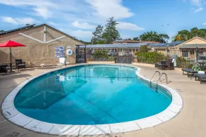 The Inn at 1252 Monterey - Piscine
