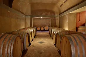 I Veroni - Agriturismo and Wine Cellar - Room