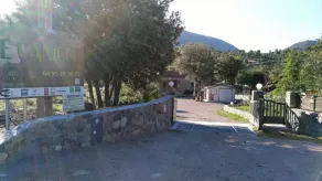 E Canicce - Réception