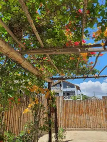 Oasis de Vichayito - Reception