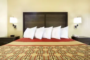 Days Inn by Wyndham Columbus-North Fort Moore - Chambre