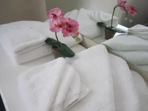 Camellia Court Motel - Room