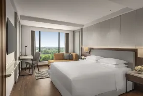 Hyatt Place Haridwar - Chambre
