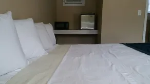 Steelhead Inn - Chambre