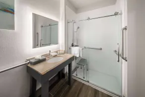La Quinta by Wyndham Angleton - Salle de bain