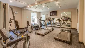 Holiday Inn Express Hotel & Suites Midlothian Turnpike by IHG - Salle de remise en forme