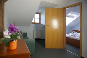 Hotel Čertousy - Vue de la chambre
