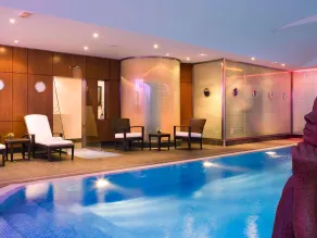 Mercure Paris CDG Aéroport & Convention - Piscine
