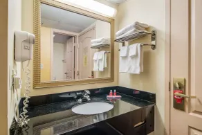 Econo Lodge At Six Flags - Salle de bain