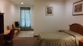 Country Regency Inn & Suites - Zimmer