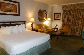 University Square Hotel - Chambre