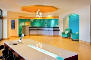 SpringHill Suites Philadelphia Plymouth Meeting - Réception