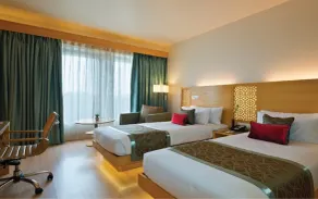 Sayaji Raipur - View from room