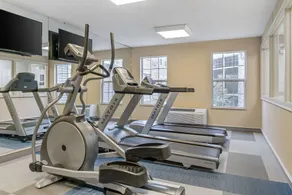 Comfort Inn Plainwell - Fitnessfaciliteter