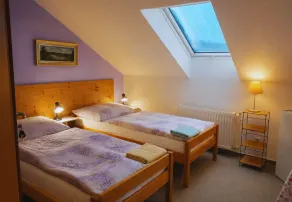 Penzion U Lesa - Habitación