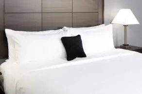 Red Lion Inn and Suites Everett - Chambre