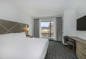 Embassy Suites By Hilton Asheville Downtown - Chambre