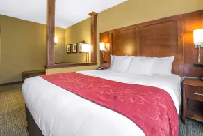 Comfort Suites Moab near Arches National Park - Chambre
