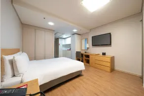 Ramada by Wyndham Seoul Dongdaemun - View from room