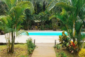 Buddha Retreat Hotel - Pool