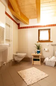 Hotel Chalet Giasenei - Bagno
