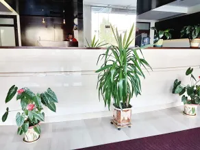 Most City Apart-Hotel - Lobby