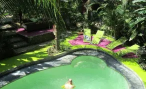 La Tropicale - Vista dalla camera