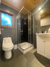 Loft Pucon - Bathroom
