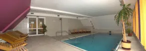 Wellness hotel Harrachovka - Pool