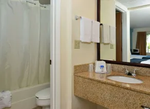 Americas Best Value Inn Bradenton-Sarasota - Salle de bain