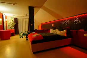 TIPTOP Hotel am Hochrhein - Værelse