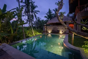 ILA Villa Ubud - Pool