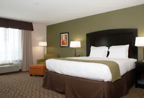 Holiday Inn Express Tulsa South Bixby by IHG - Værelse