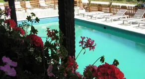 Hotel Waldesruh - Pool