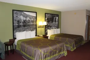 Super 8 by Wyndham Eureka Springs - Chambre