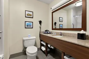 Comfort Suites Nashville near Percy Priest Lake - Chambre
