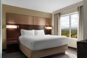 Residence Inn by Marriott Kingston - Room