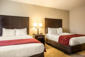 Comfort Suites Huntersville near Lake Norman - Chambre