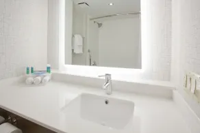 Holiday Inn Express Roseville-St. Paul by IHG - Salle de bain