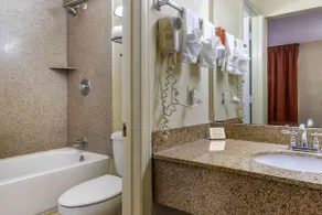Econo Lodge Columbia Fort Jackson - Salle de bain