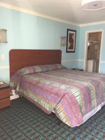 Shirley Motel - Room