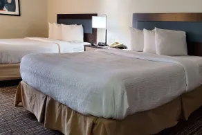 Wingate by Wyndham Canton/Hall of Fame - Chambre