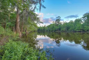 Fishing Ponds, Trails & River Access: Jay Studio! - Interior