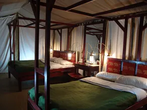 Fig Tree Camp - Maasai Mara - Room