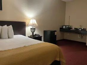 Quality Inn & Suites - Room