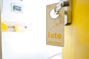 Bloom Hotel - Bengaluru Airport - Værelse