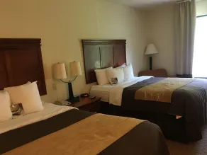 Comfort Inn & Suites Rogersville - Quarto