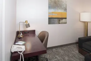 SpringHill Suites by Marriott Billings - Chambre