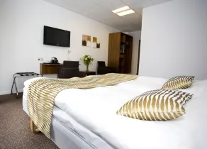 Hotel Thinggaard - Rom