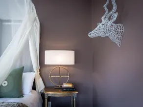 Safari Moon Luxury Bush Lodge - Room